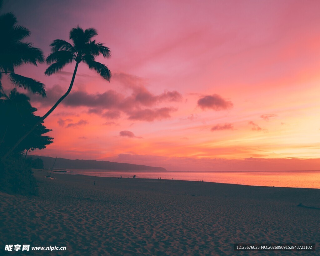 夕阳下的椰树海滩美景