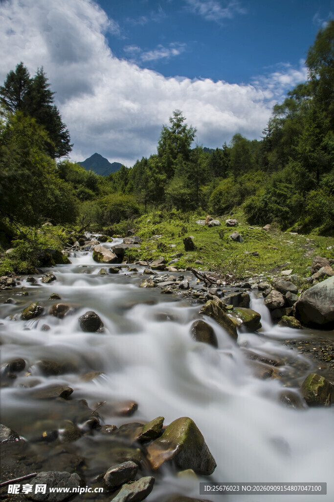 山间溪流潺潺绿意盎然