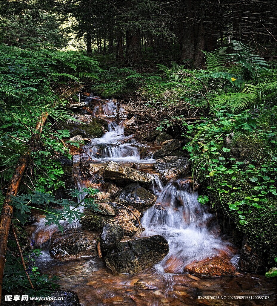 山间溪流绿意盎然的景致
