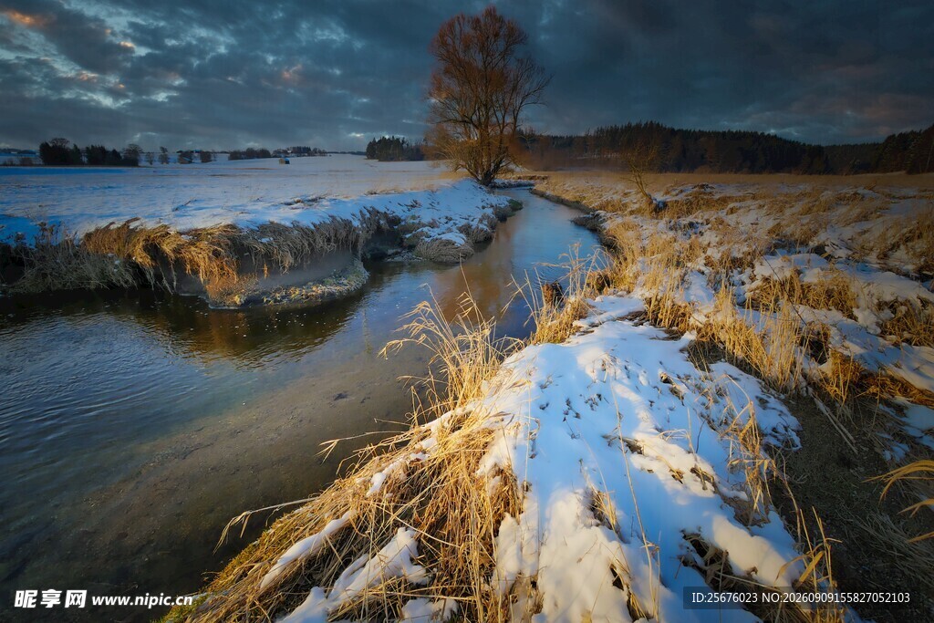 冬日雪覆河畔的静谧美景