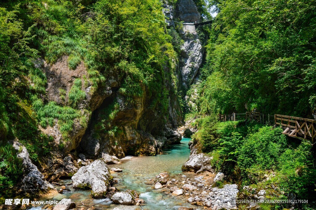 山间溪流绿意盎然的峡谷