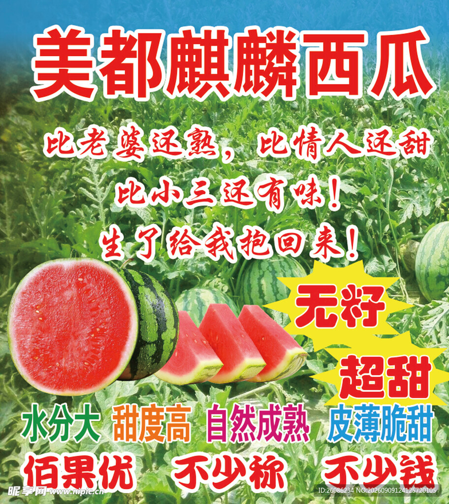 美都麒麟西瓜