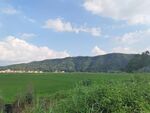 田园绿野风光