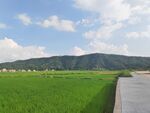 田园风光中的青山绿水