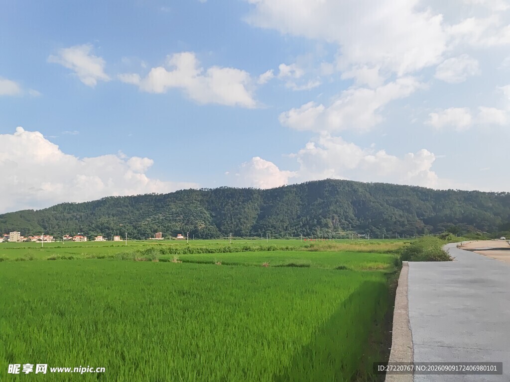 田园风光中的青山绿水