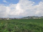 绿野蓝天间的乡村景致