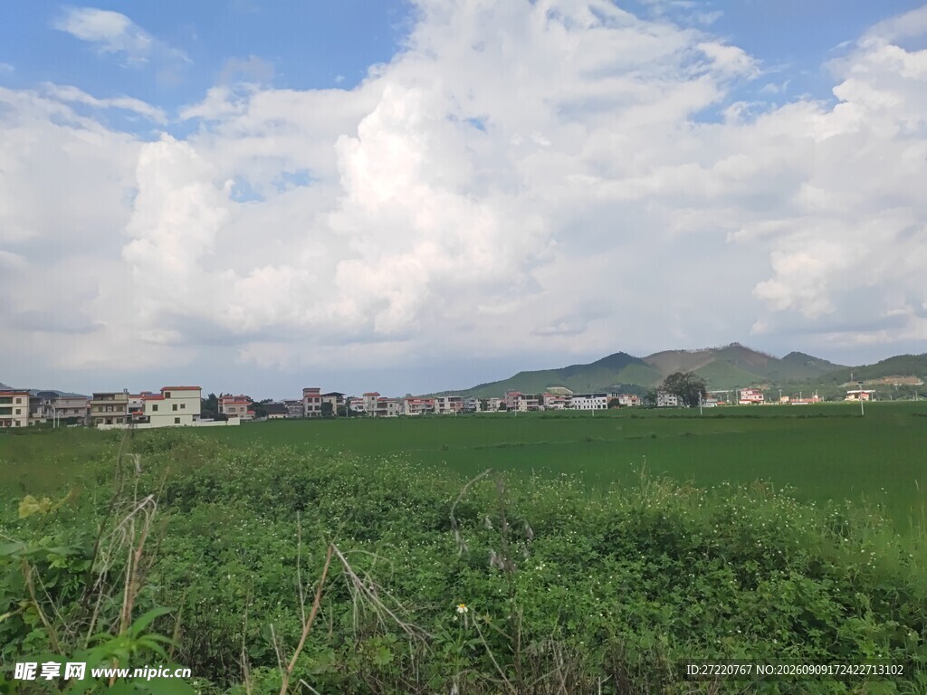 绿野蓝天间的乡村景致