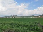 田园绿野风光
