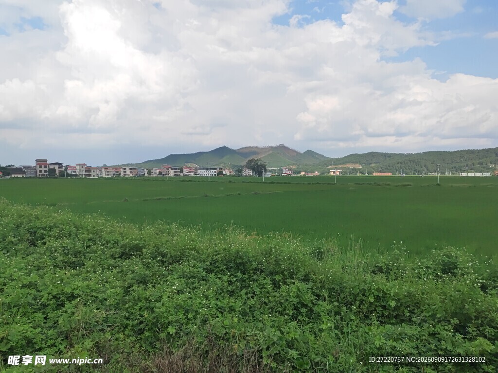 广袤绿野风光