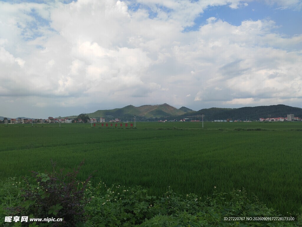 广袤绿野与天边云山美景