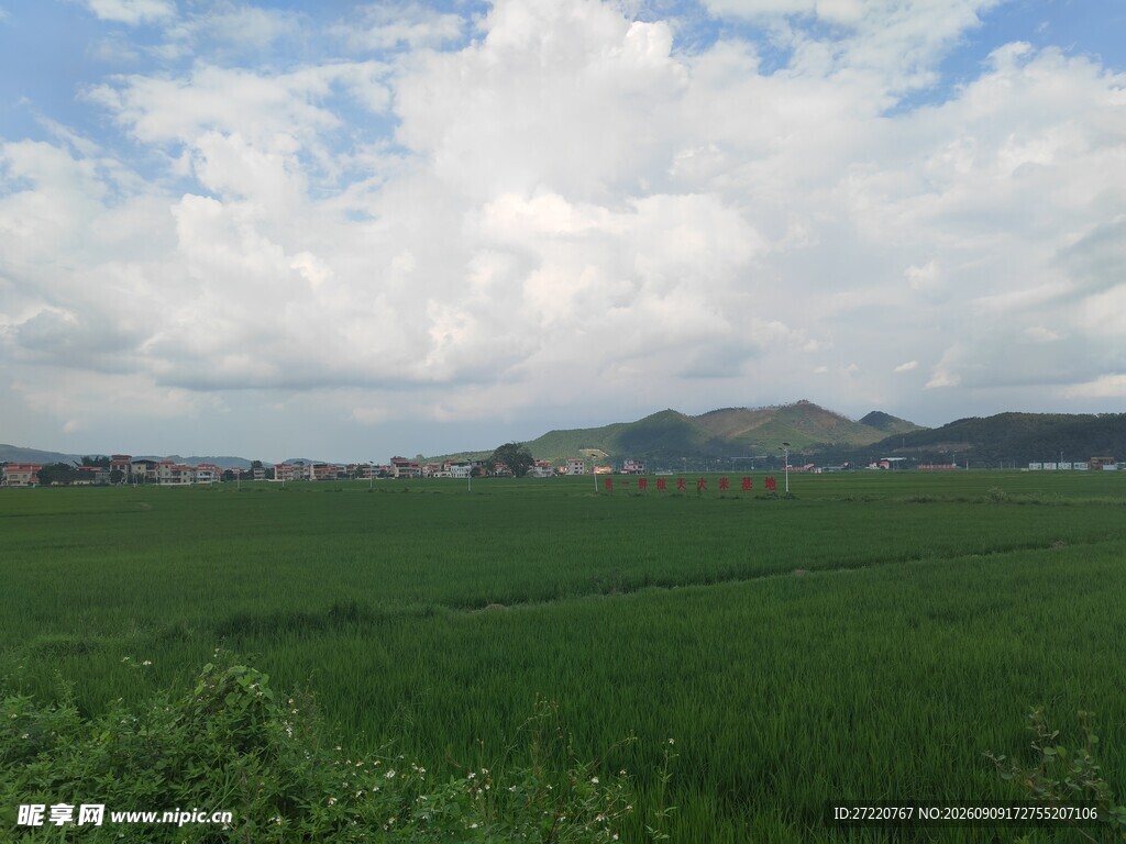 广袤绿野与蓝天白云景致
