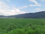 绿野青山间的田园风光