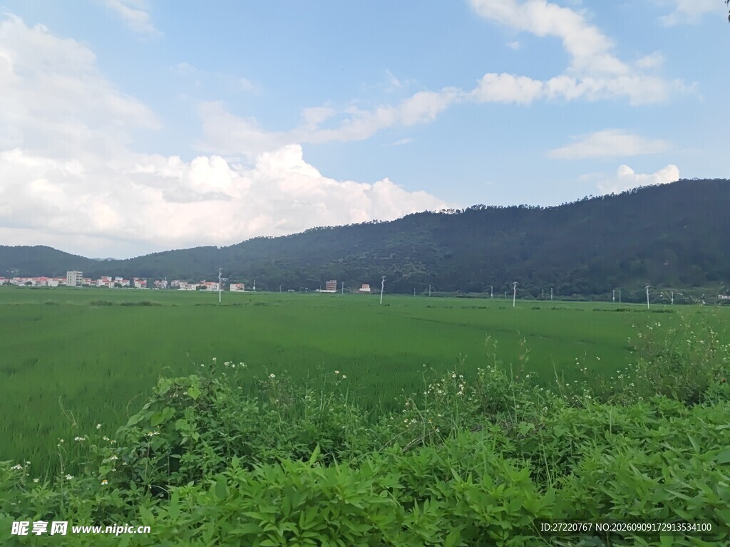绿野青山间的田园风光