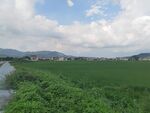 田园绿野风光