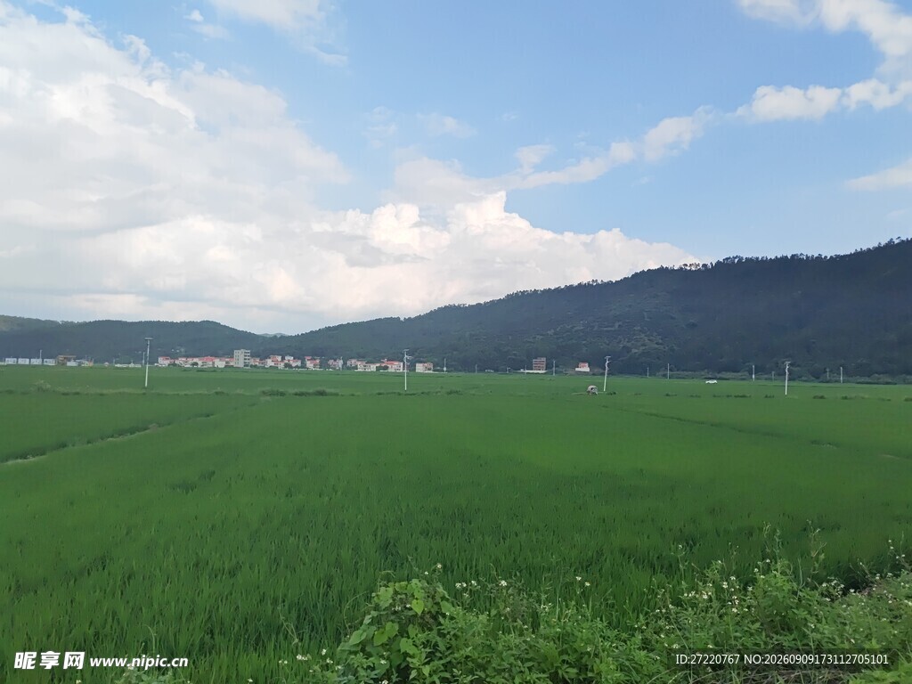 广袤绿野与远山蓝天