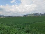 广袤绿野与远山美景