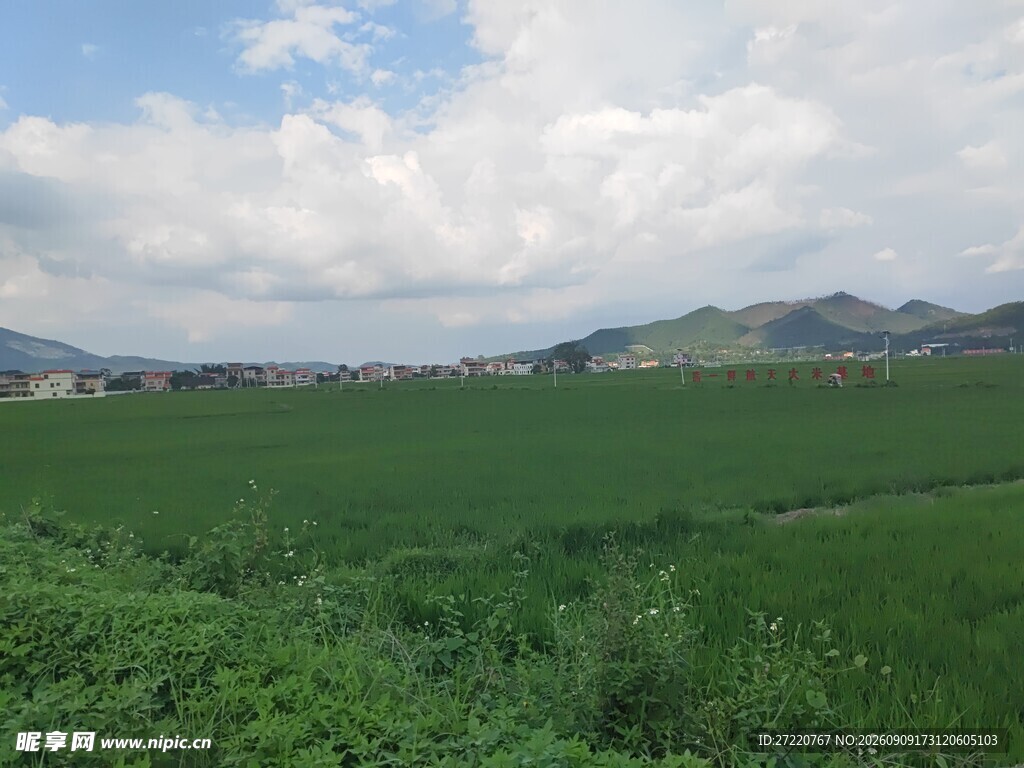 广袤绿野与远山美景