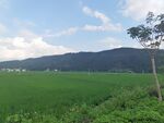 田园绿野风光