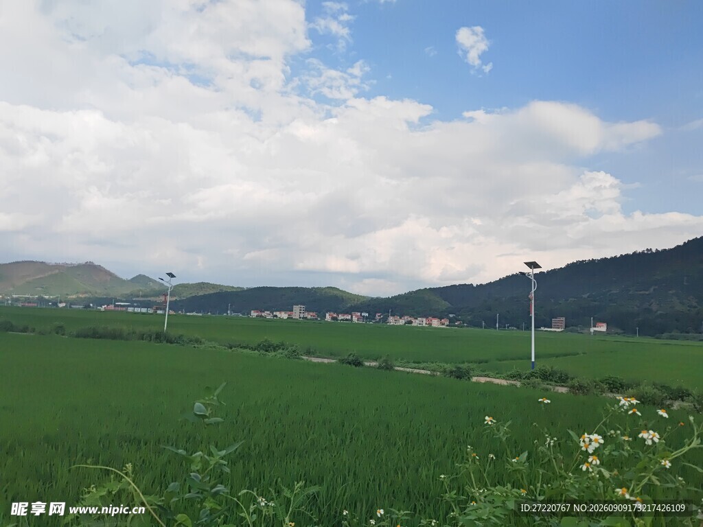绿野蓝天间的美丽风光