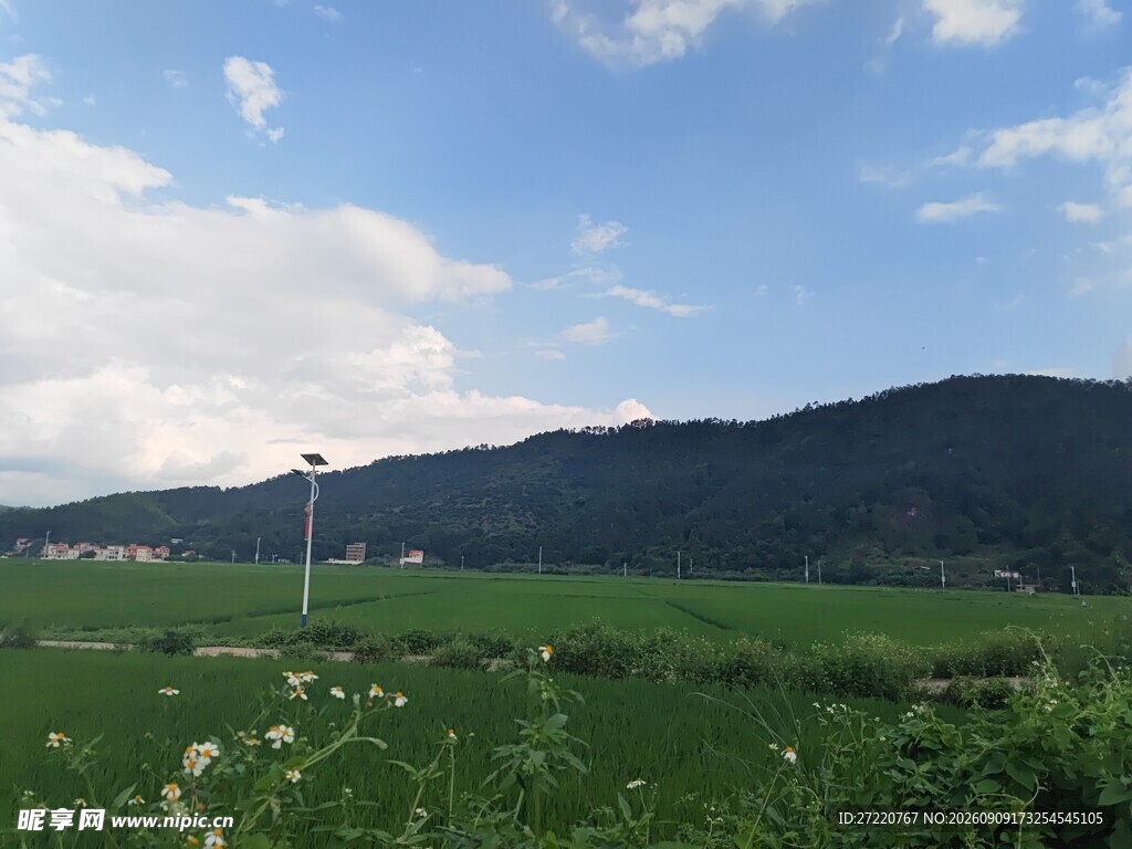 绿野青山间的自然风光