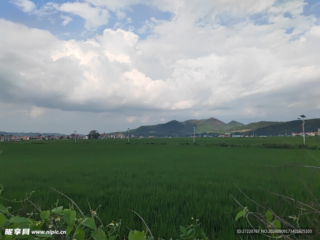 田园绿野风光