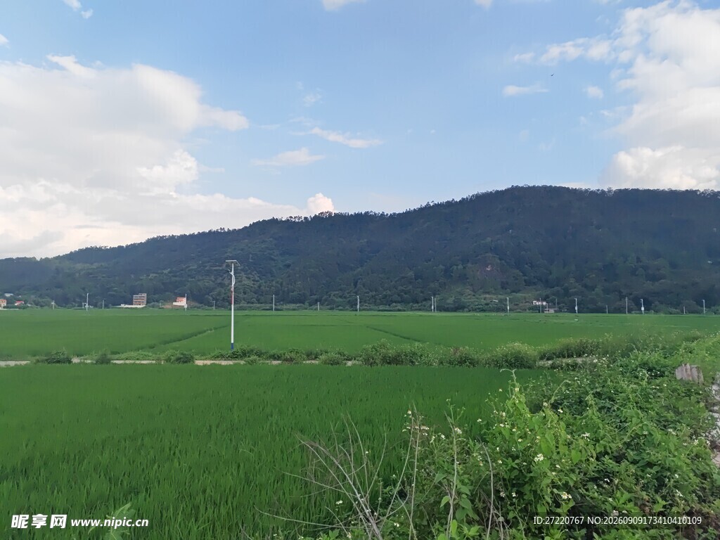 田园绿野间的远山美景