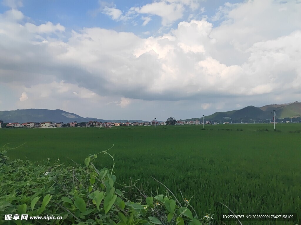 田园绿野风光