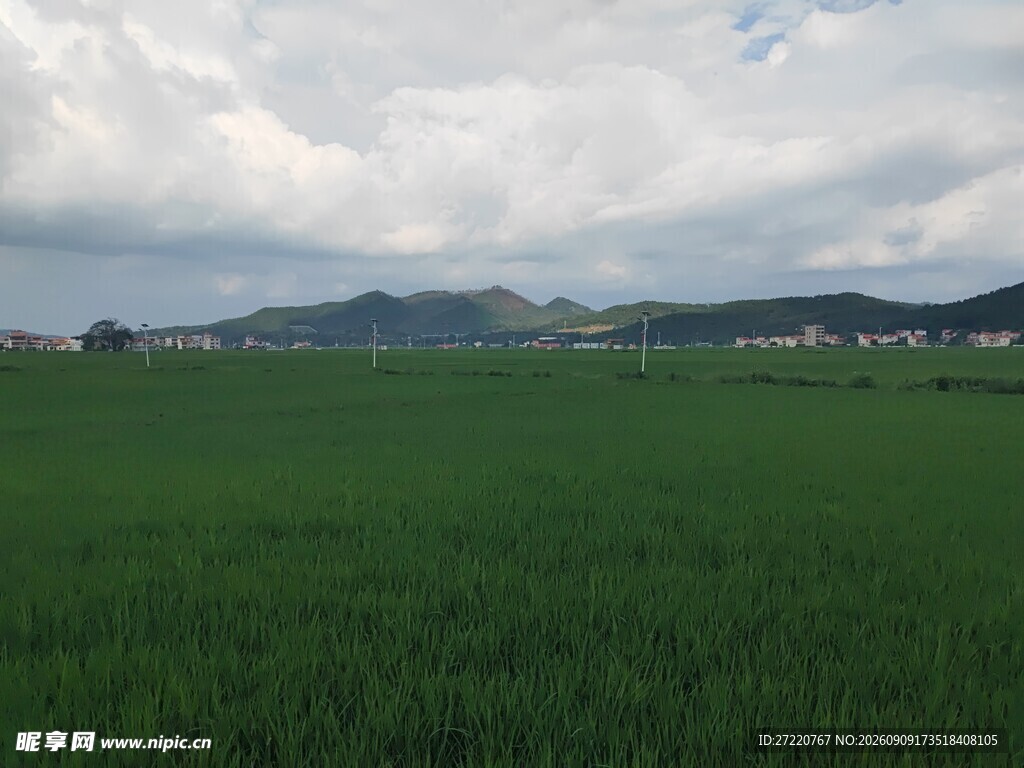 广袤绿野与远处山峦景色