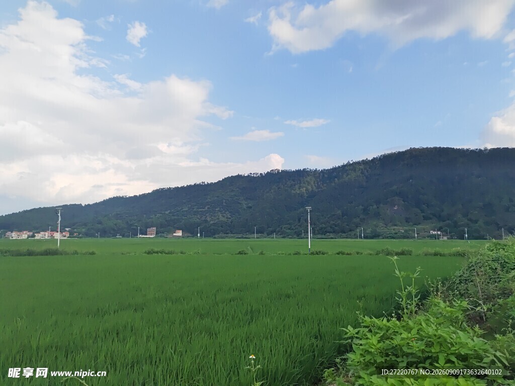 田园绿野 远山蓝天美景