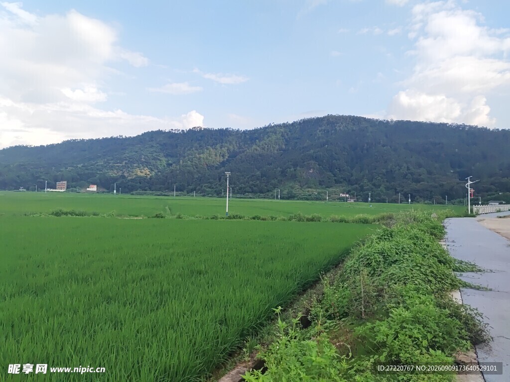 田园绿野间的乡间小路