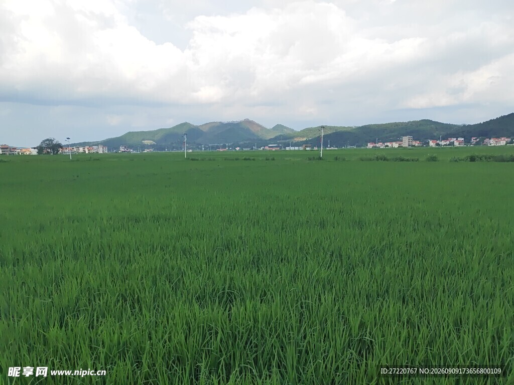广袤绿野田园风光美景