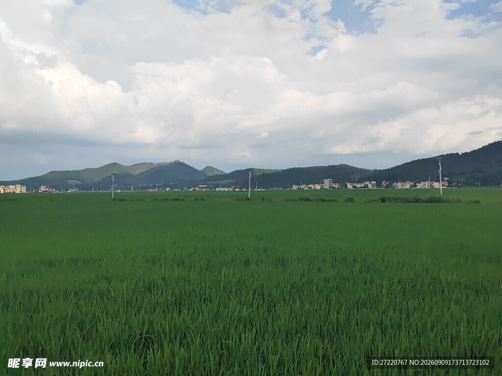 广袤绿野与远山的田园景致