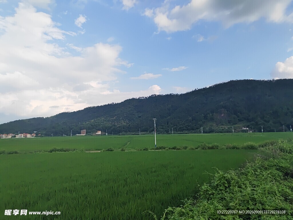 绿野青山间的田园风光