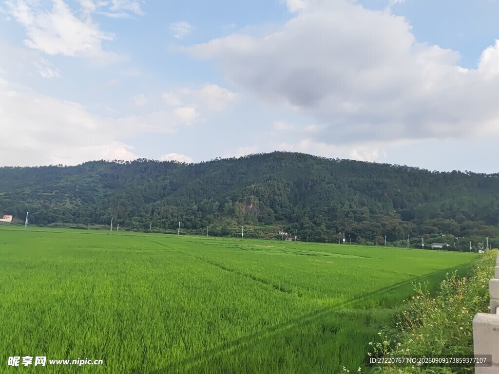 翠绿田野与远山美景