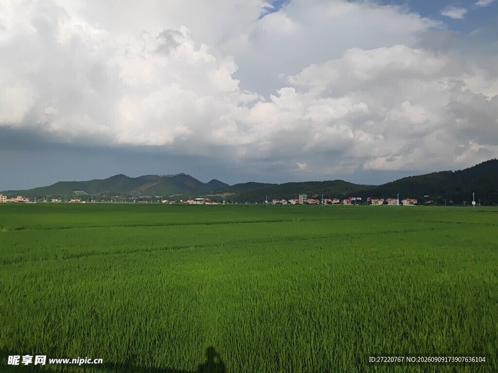 广袤绿野与远山的美丽景致