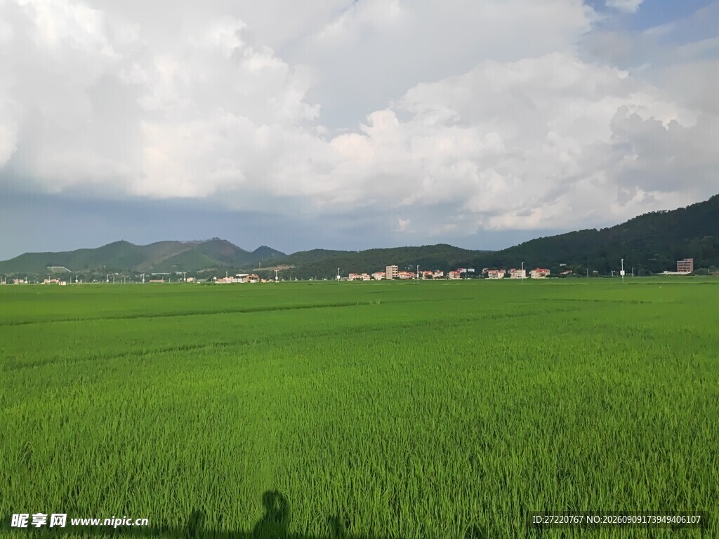 广袤绿野与远山的田园景致