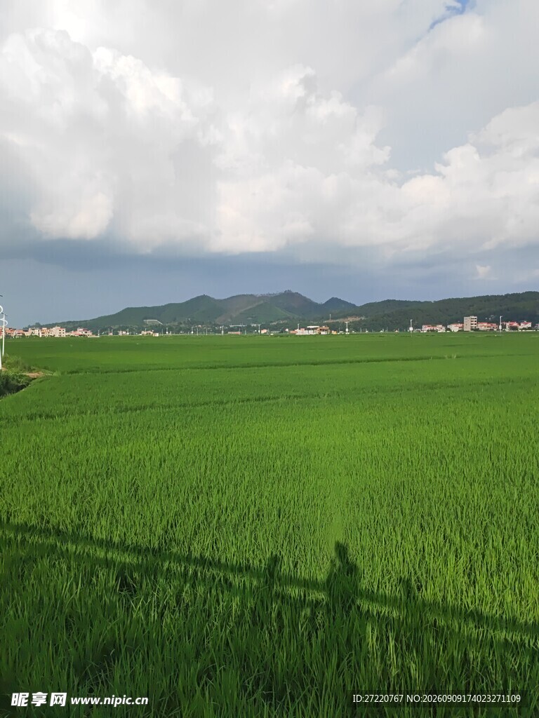 绿野田园风光