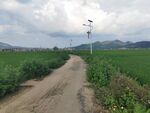 乡间土路 田园风光美景