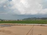 空旷田野与远处山峦景观