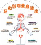 牙齿影响全身健康图示