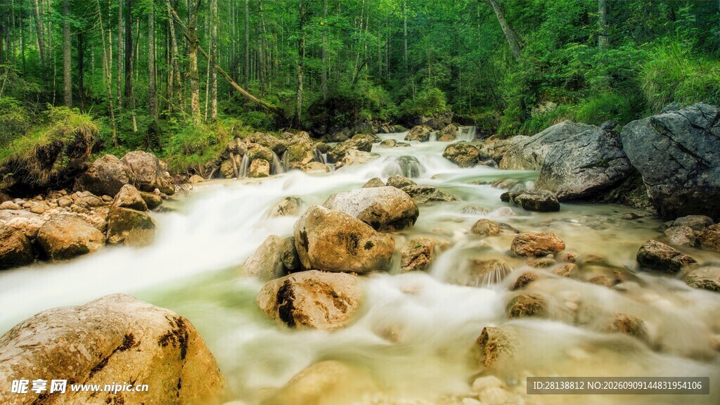 林间溪流潺潺自然美景