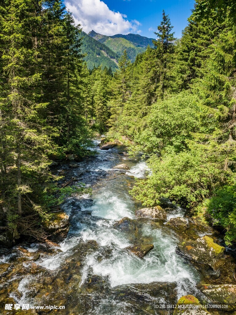 山间溪流绿意盎然的景致