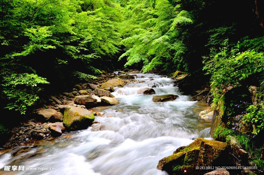 山间流淌的清澈溪流