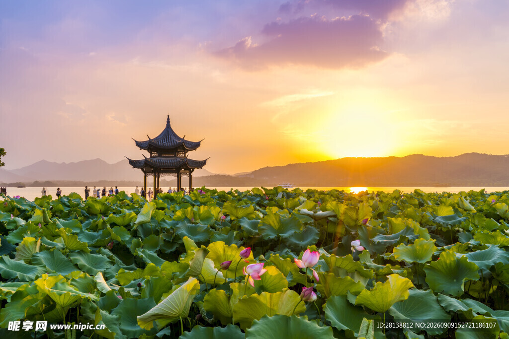 夕阳下荷塘中的古典亭子