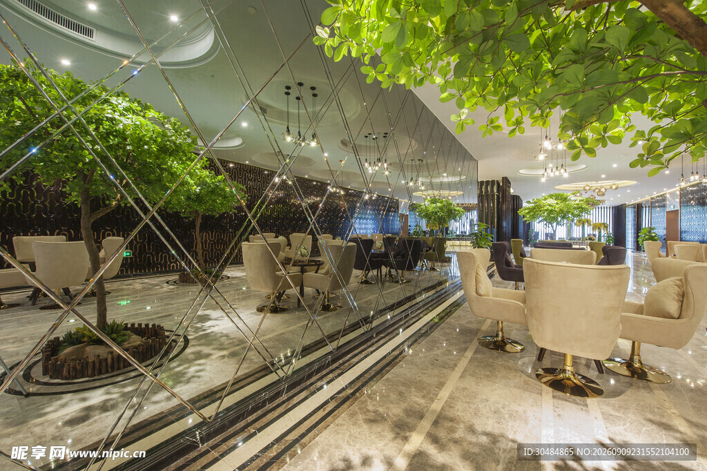 室内绿植环绕的休闲空间