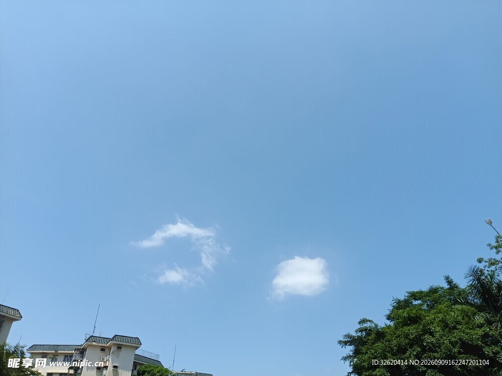 蓝天绿树间的清新景致