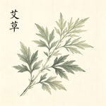 手绘艾草图