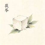 茯苓插画 清新中式药材图