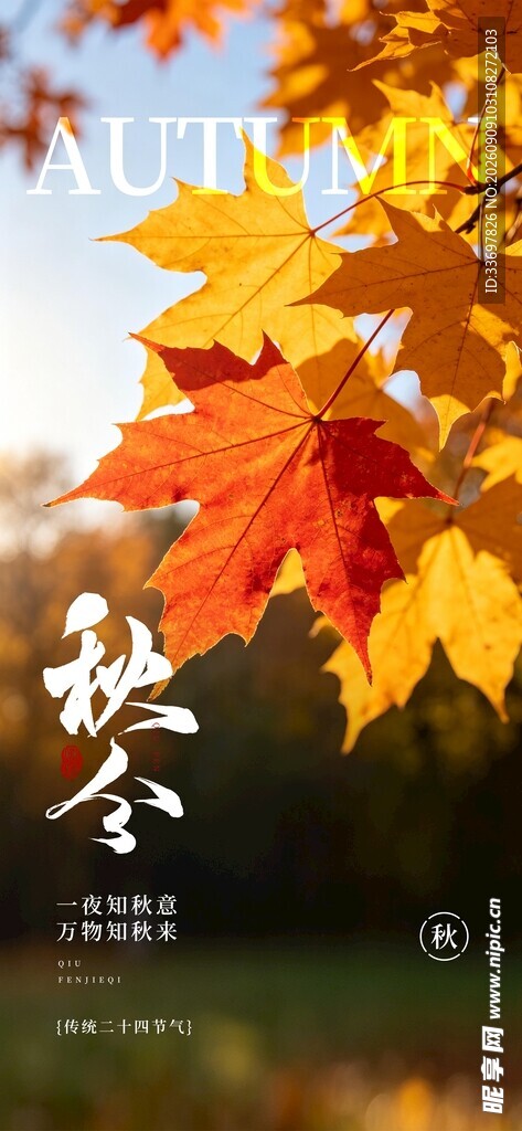 秋分