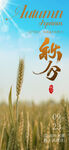 秋分